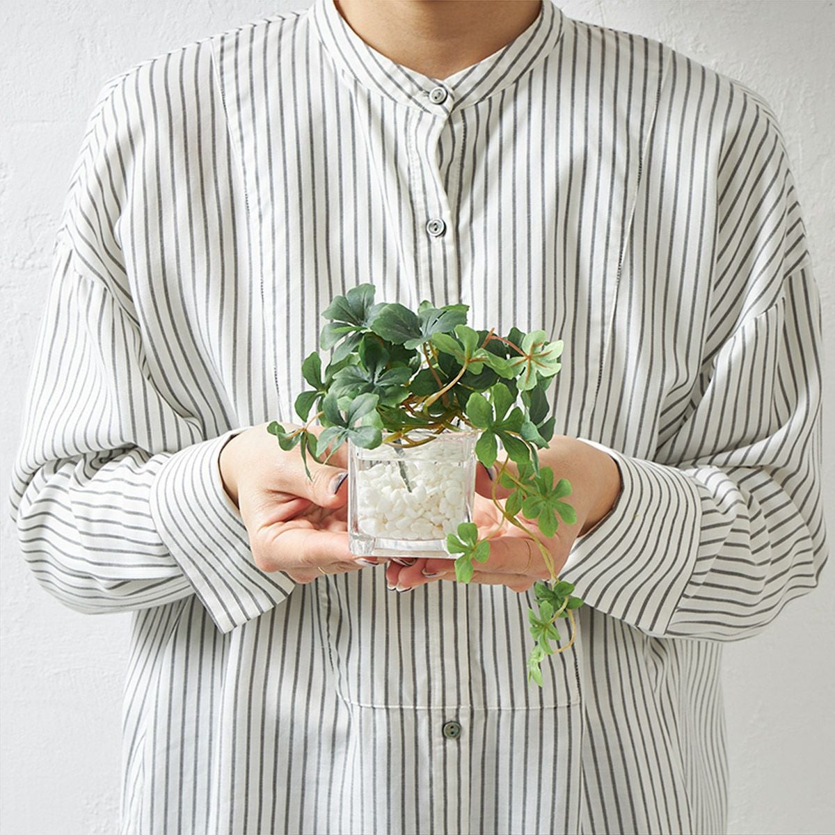 卓上グリーン３点セット プミラxシュガーバインxアジアンタム ウォーターキューブ09