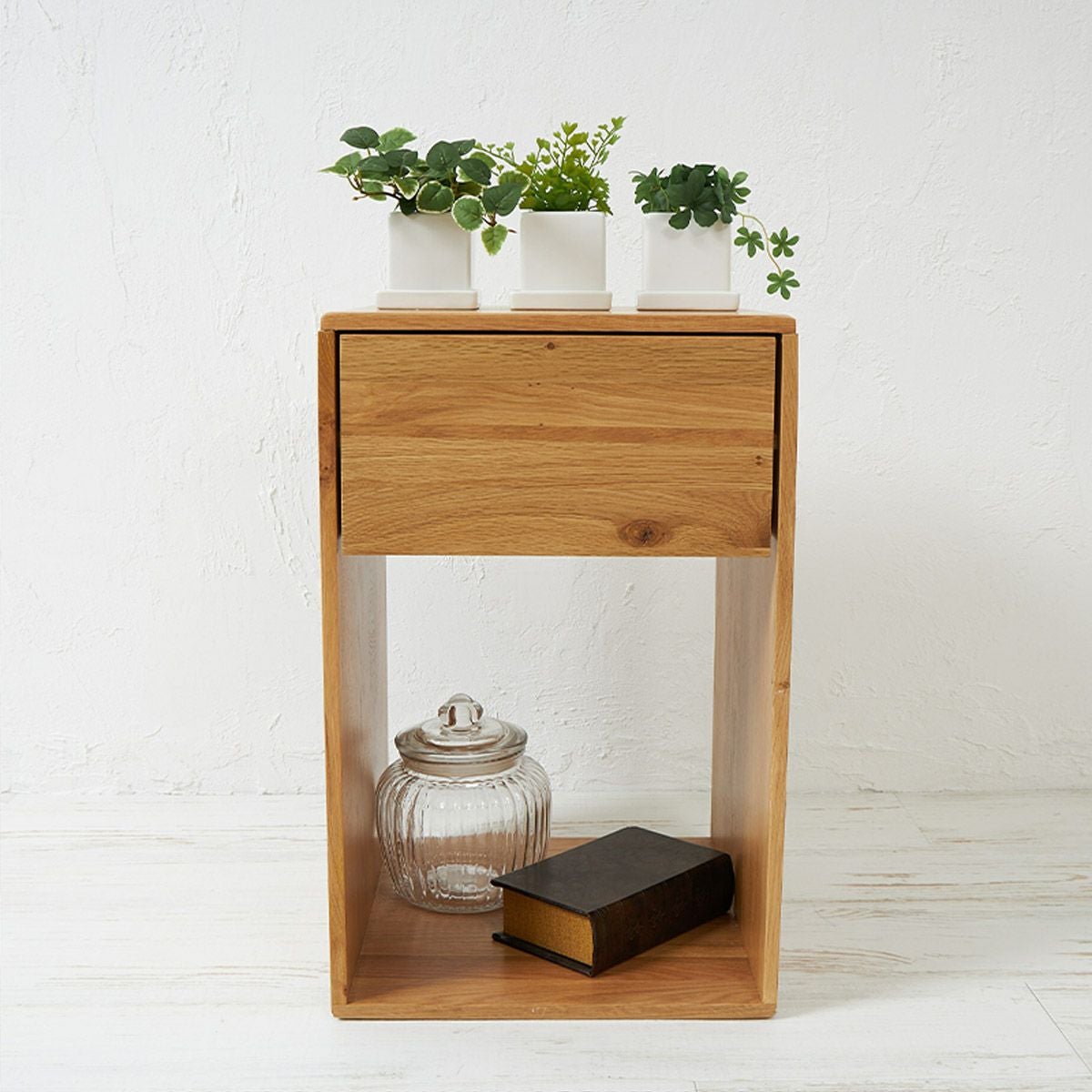 卓上グリーン３点セット プミラxシュガーバインxアジアンタム01