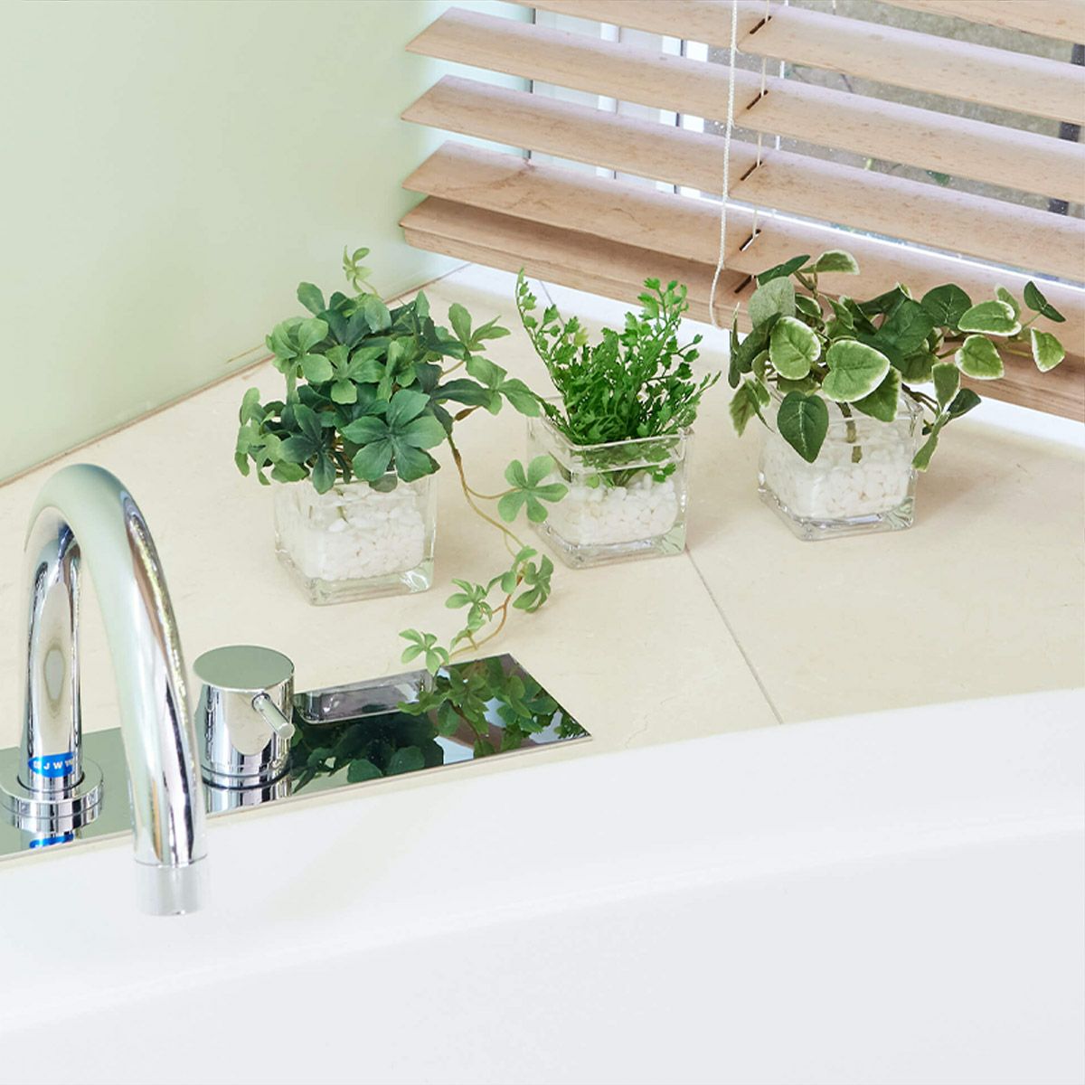 卓上グリーン３点セット プミラxシュガーバインxアジアンタム02