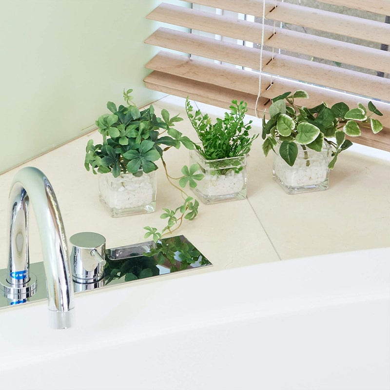 卓上グリーン３点セット プミラxシュガーバインxアジアンタム02