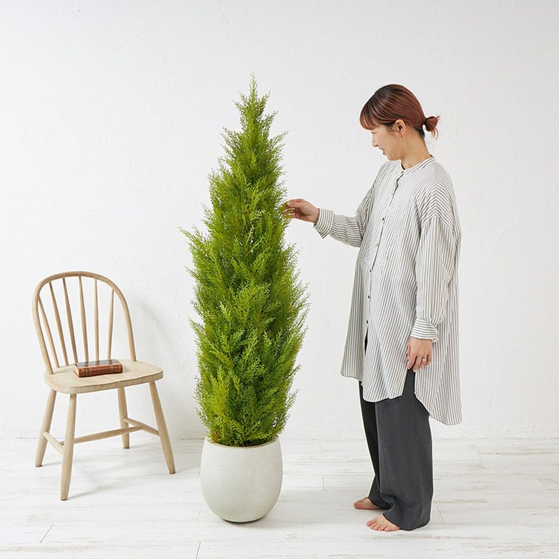 フロアグリーン ゴールドクレスト エッグポット H155 01