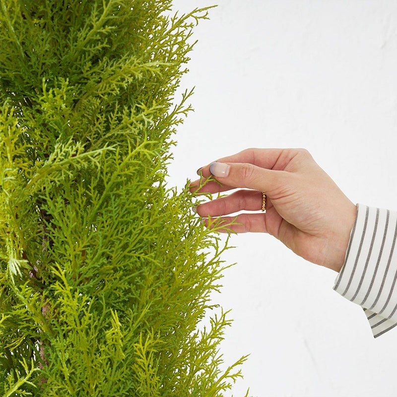 フロアグリーン ゴールドクレスト エッグポット H155 04