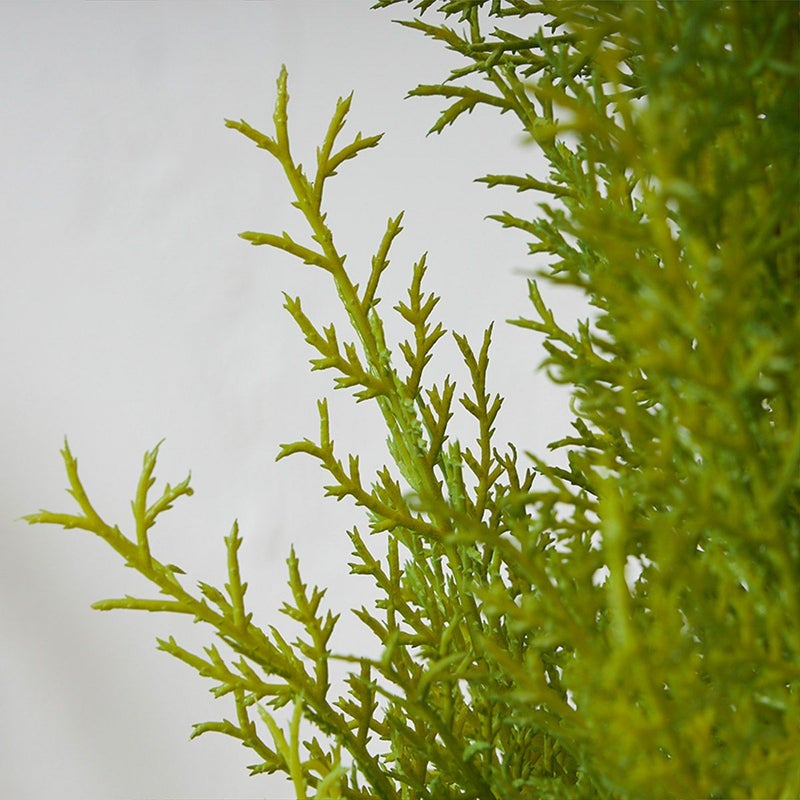 フロアグリーン ゴールドクレスト エッグポット H155 05