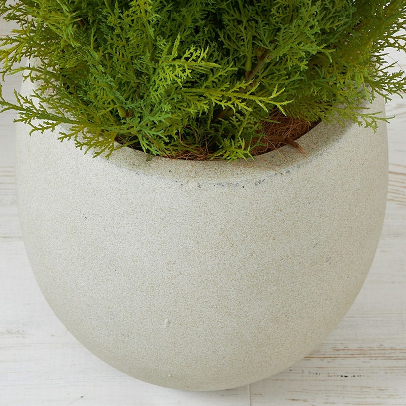 フロアグリーン ゴールドクレスト エッグポット H155 08