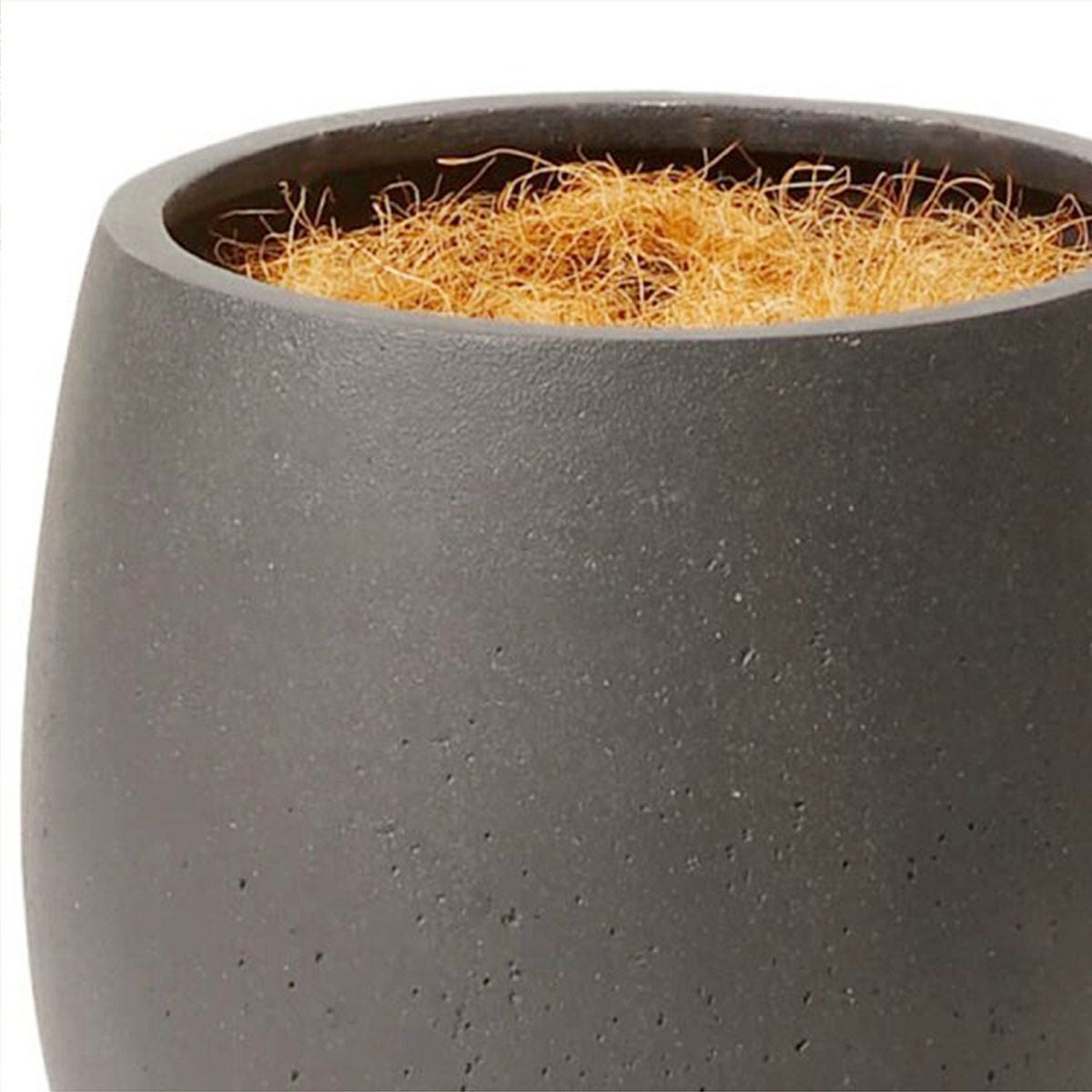 フロアグリーン ゴールドクレスト エッグポット H155 09