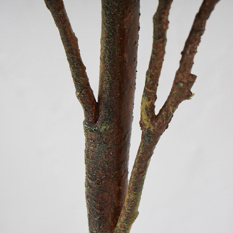 マグノリア H168 07