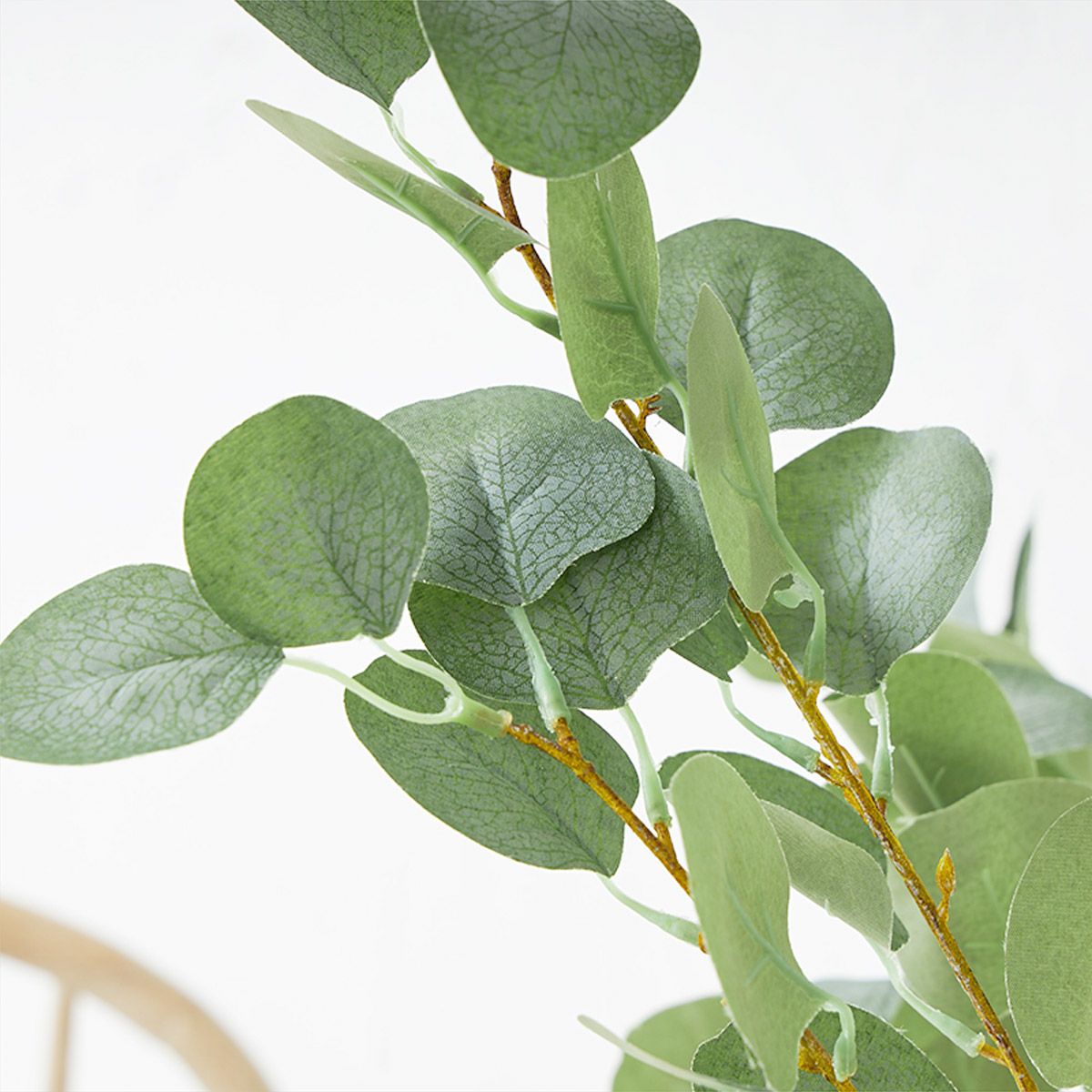 ユーカリ エッグポット H185 04