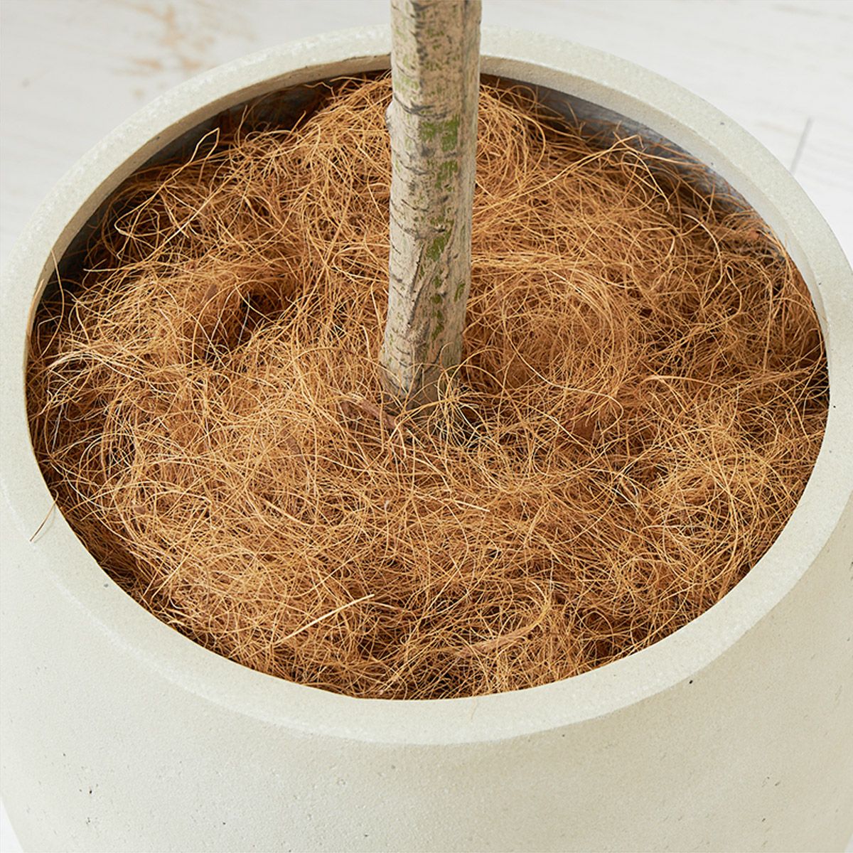 ユーカリ エッグポット H185 09