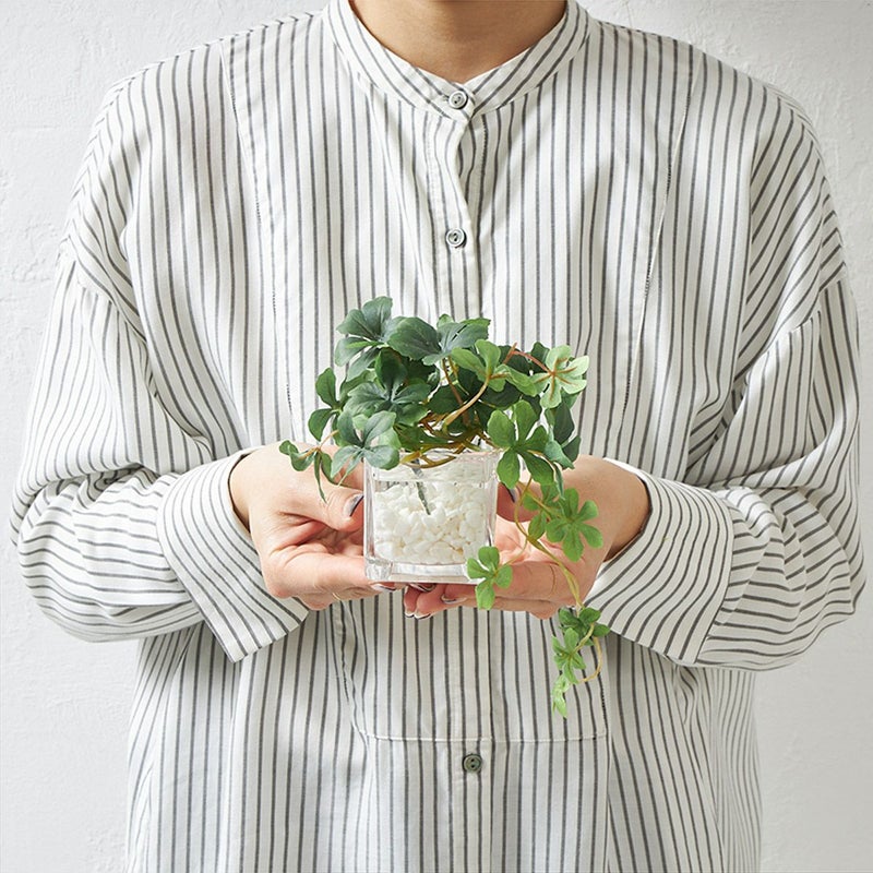 卓上グリーン３点セット ミリオンxシュガーバインxアジアンタム ウォーターキューブ04