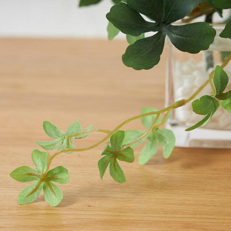 卓上グリーン３点セット ミリオンxシュガーバインxアジアンタム ウォーターキューブ07