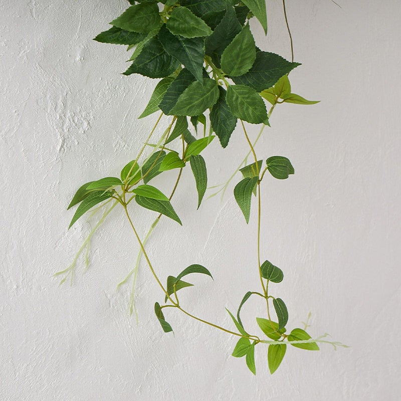 グリーンスワッグ ハツユキソウ L 04