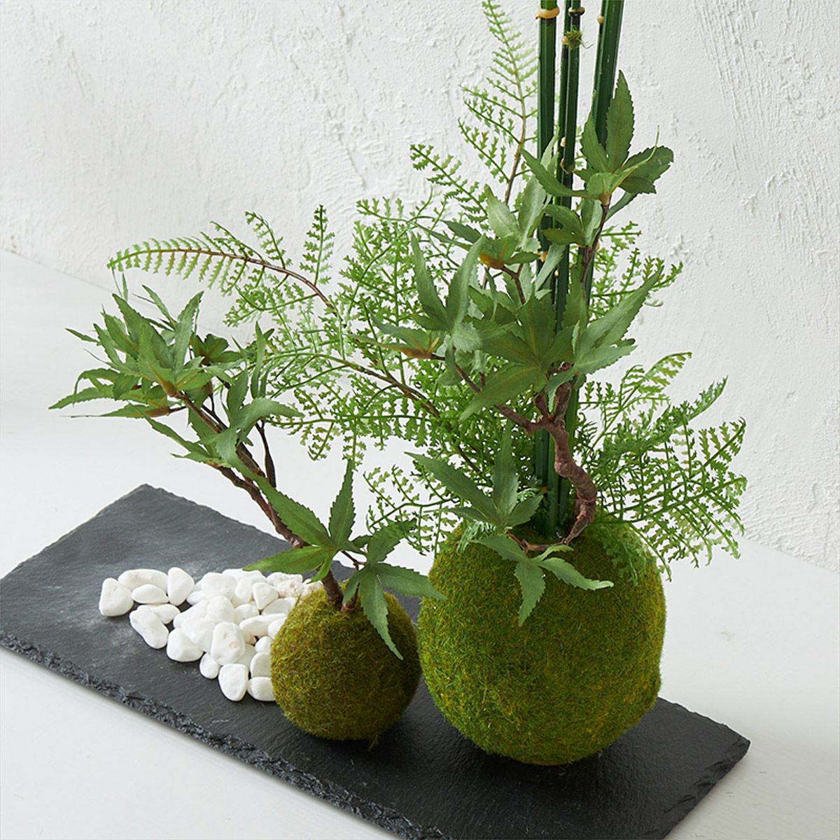 テーブルグリーン 寄せ植え 苔玉 H43 グリーン | オーダーカーペット