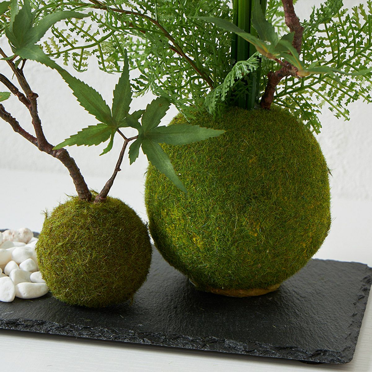 テーブルグリーン 寄せ植え 苔玉 H43 グリーン | オーダーカーペット