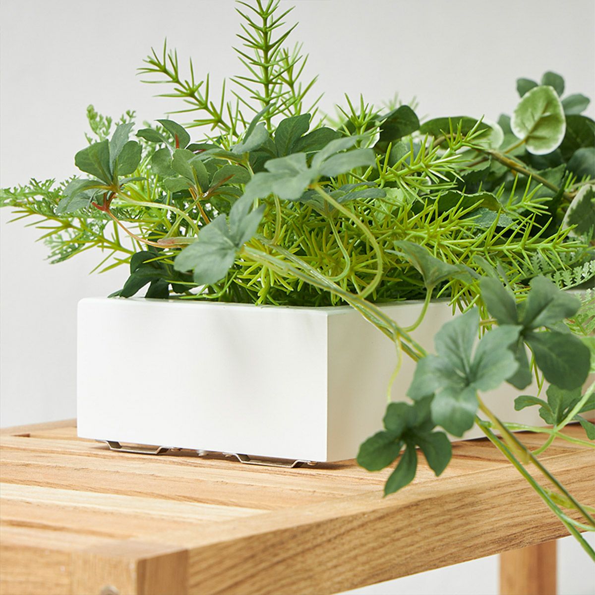 棚上・掛置兼用グリーン シュガーバイン グリーン | オーダー