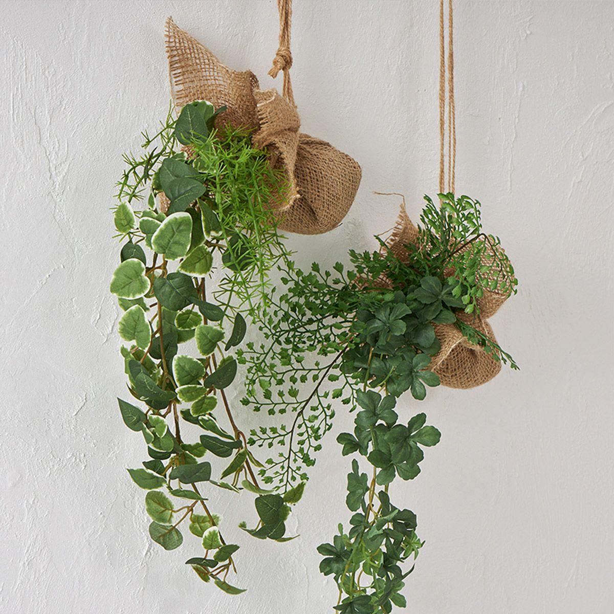 消臭ハンギンググリーン２個セット リキュウソウｘシュガーバイン05