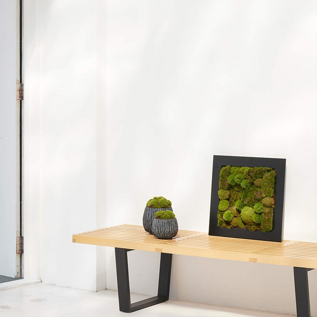 壁掛けグリーン 苔盆 和モダン グリーン | オーダーカーペット・ラグの