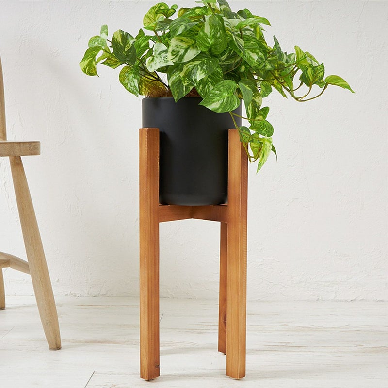 ポトス ウッドスタンド H70cm 07