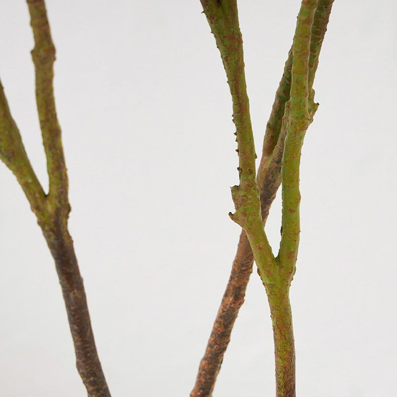 マグノリア スリムプランター H120cm06