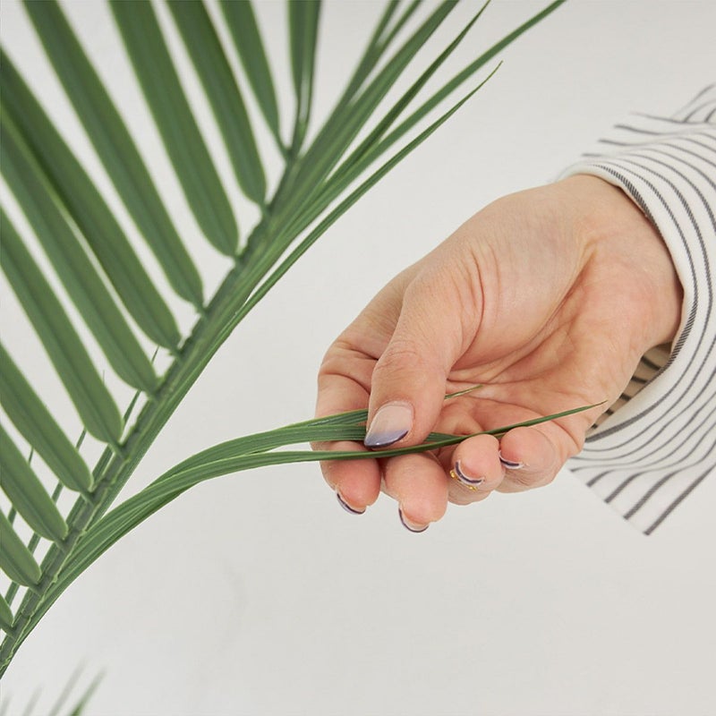 アレカヤシ スリムポット H165cm 04