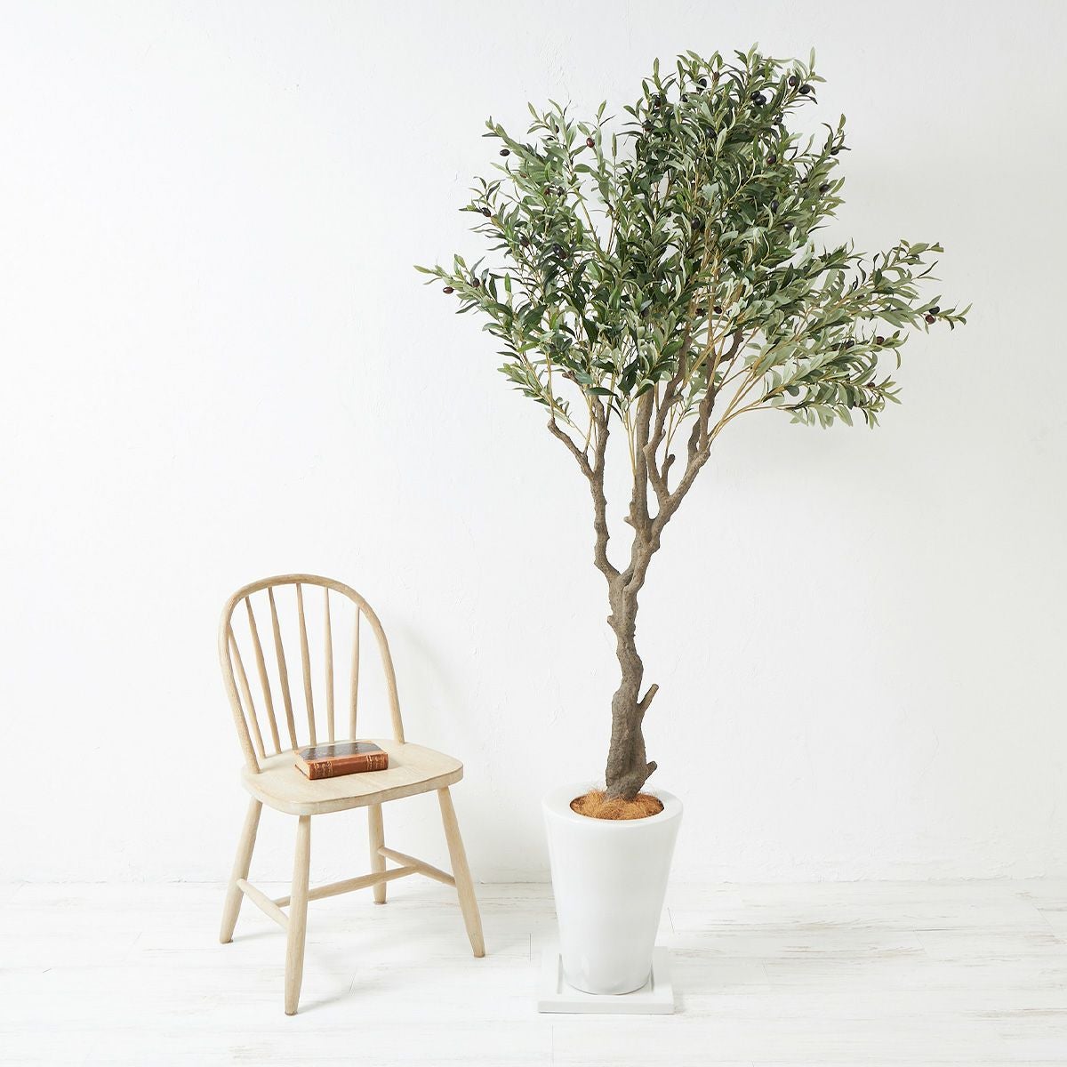 オリーブ スリムプランター H202 10