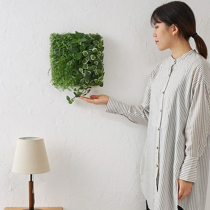 グリーンマット プミラｘシダファーン H38 01