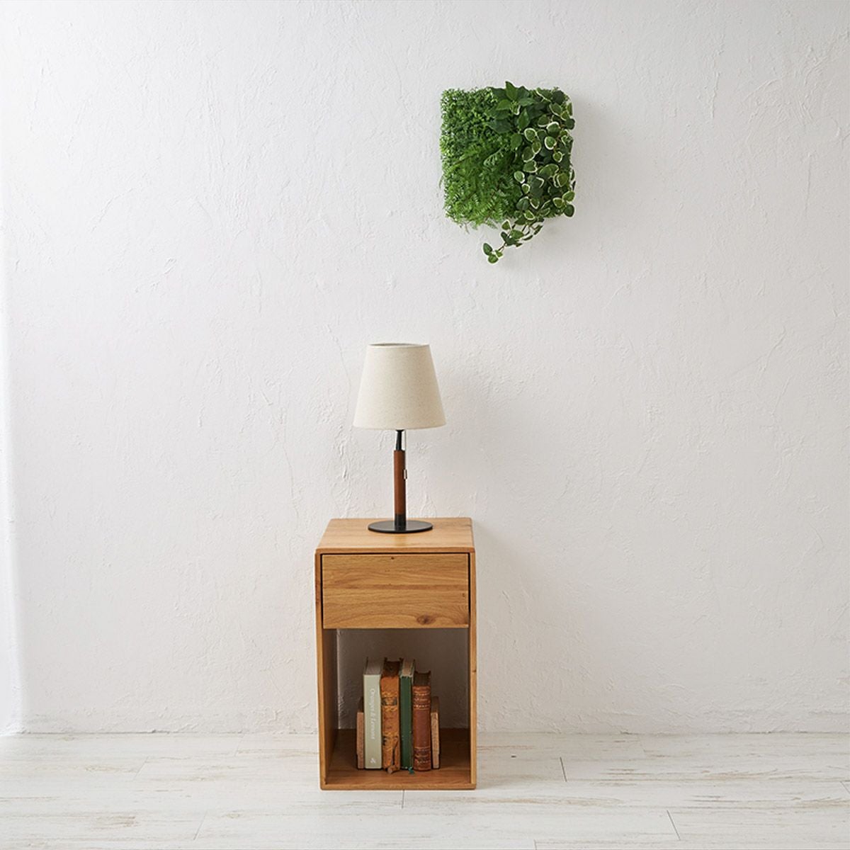 グリーンマット プミラｘシダファーン H38 02