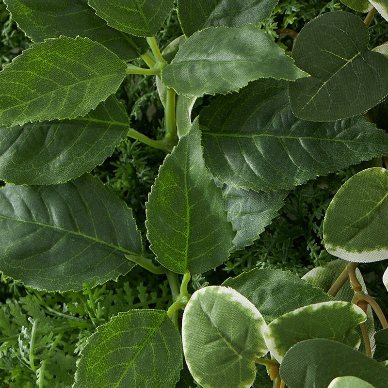 グリーンマット プミラｘシダファーン H38 06