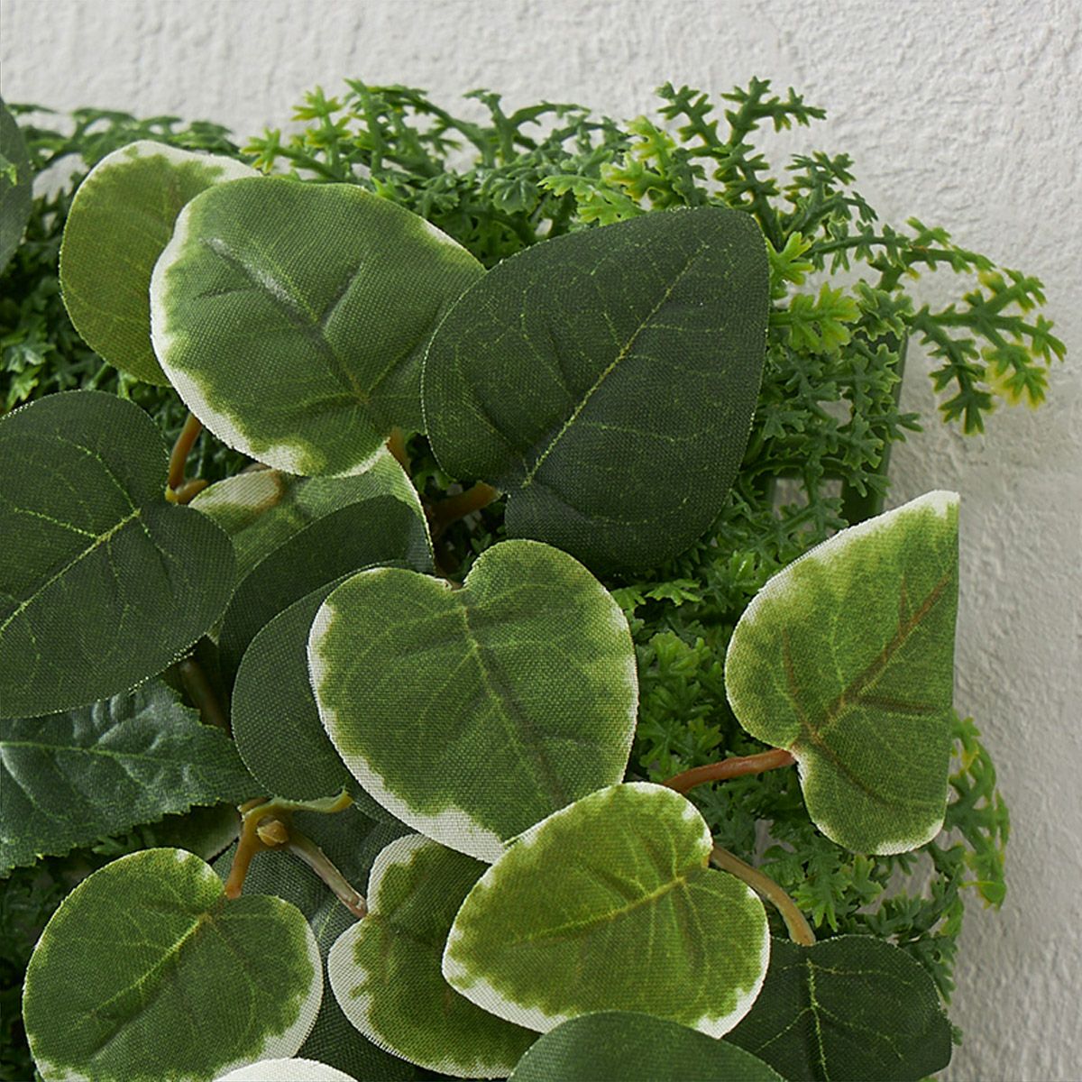 グリーンマット プミラｘシダファーン H38 07