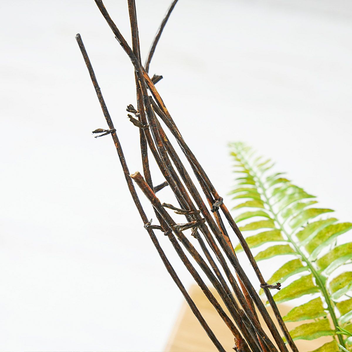 アジアンタムｘベリー ガラスベース H30 05