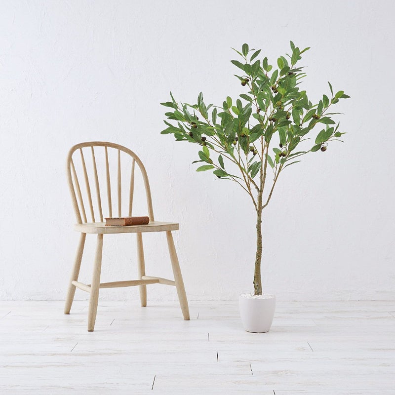 オリーブ　H120 02