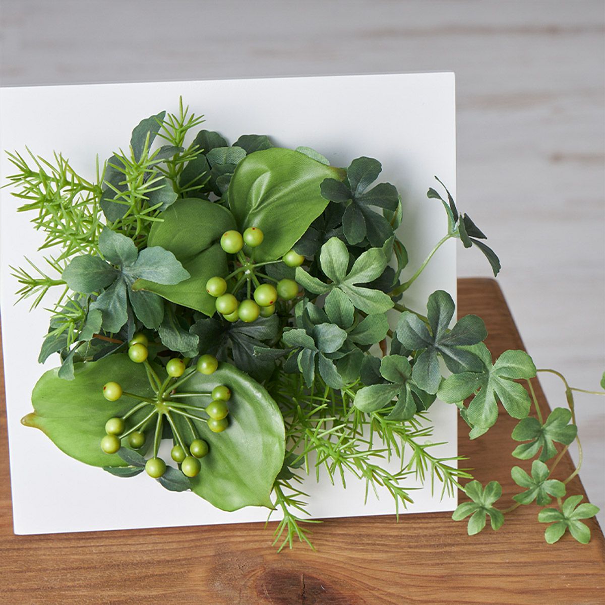 壁掛けグリーン サンキライ ウォールデコ 06