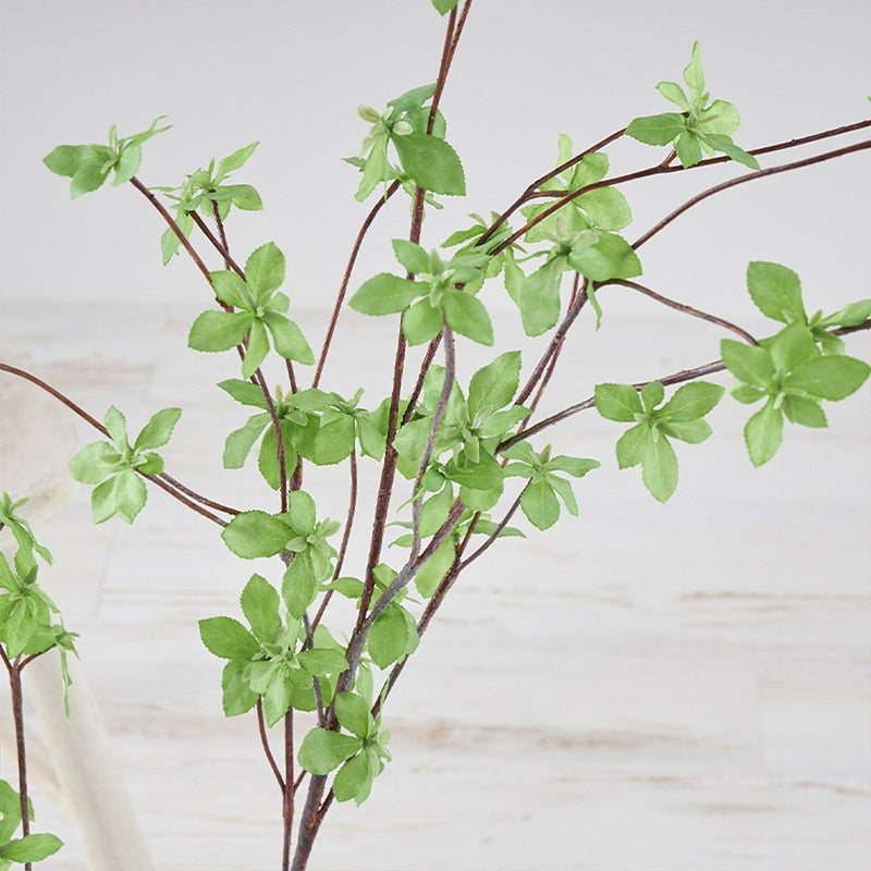 ドウダンツツジ ウォーターガラスベース H100 03