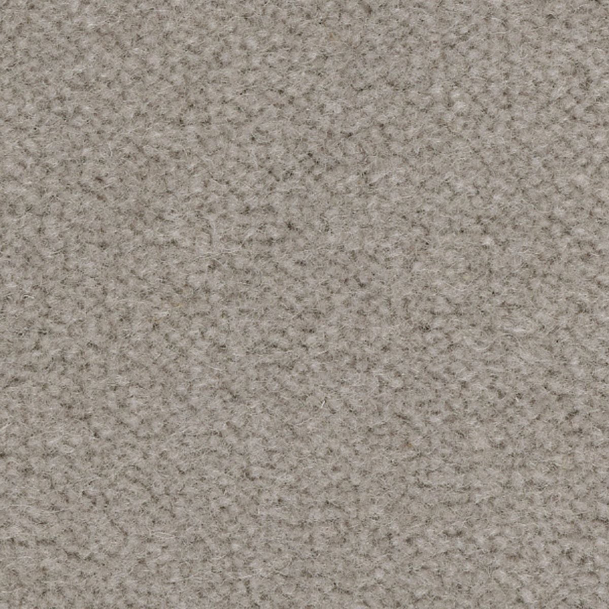 レゴンス　グレー