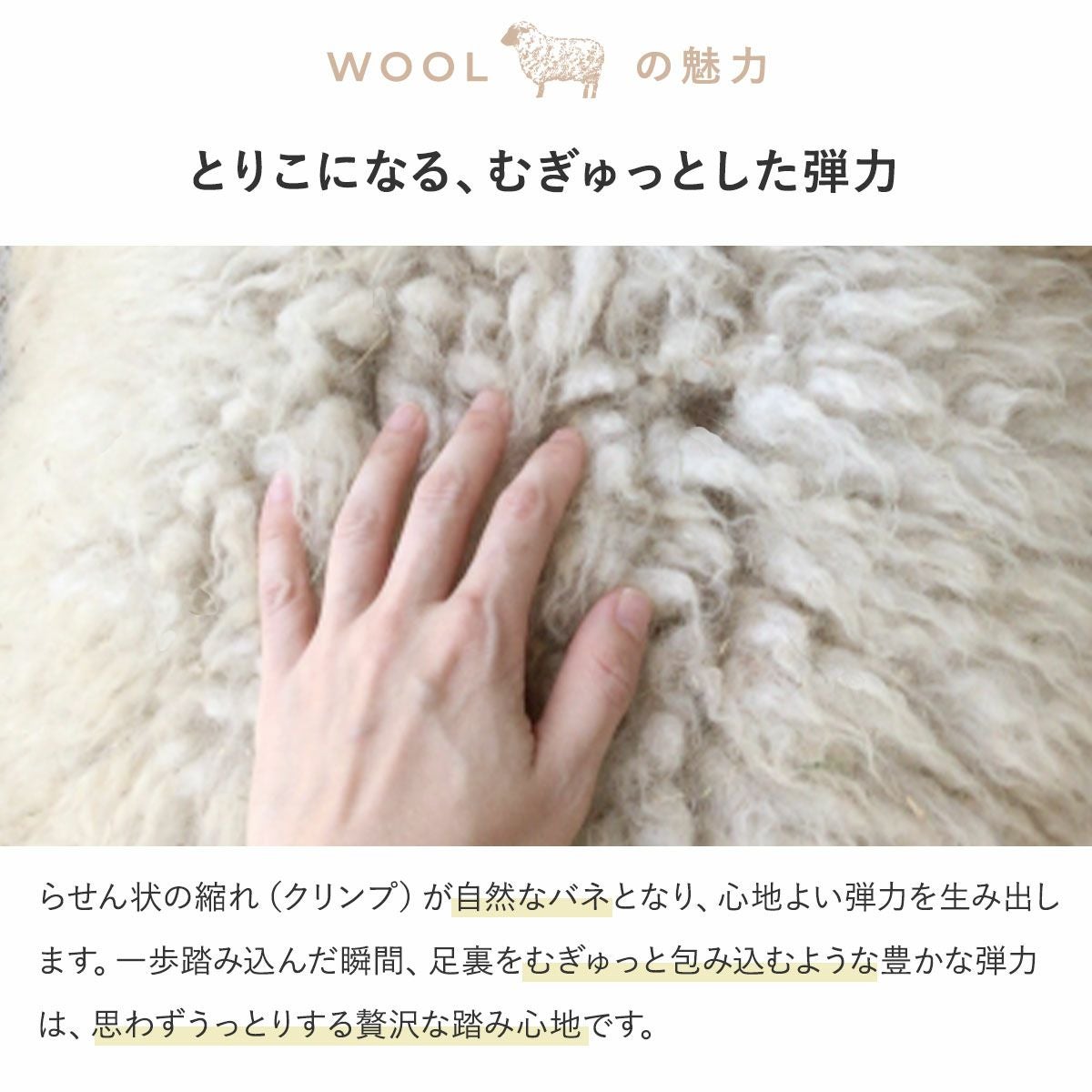 ウールの魅力2