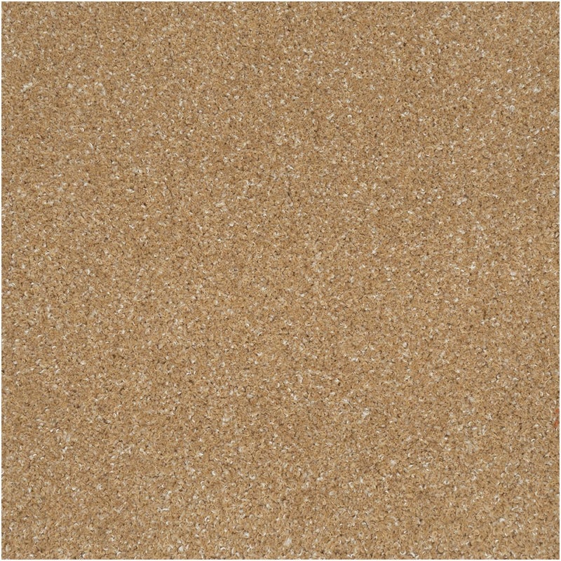 テーヌ　ベージュ