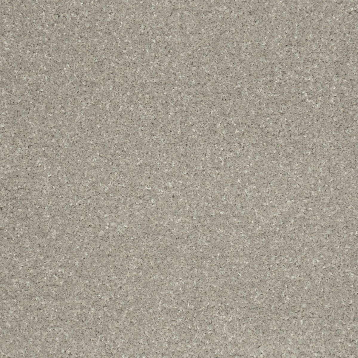 テーヌ　ライトグレー