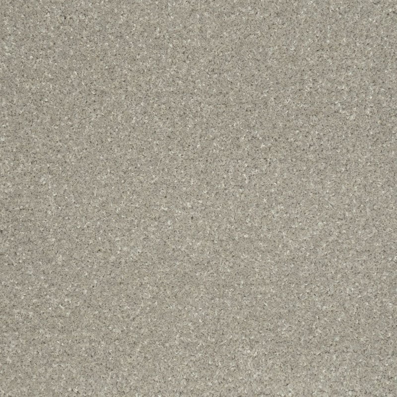 テーヌ　ライトグレー