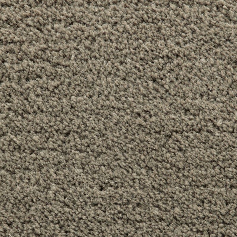 タイユ　ブラウン