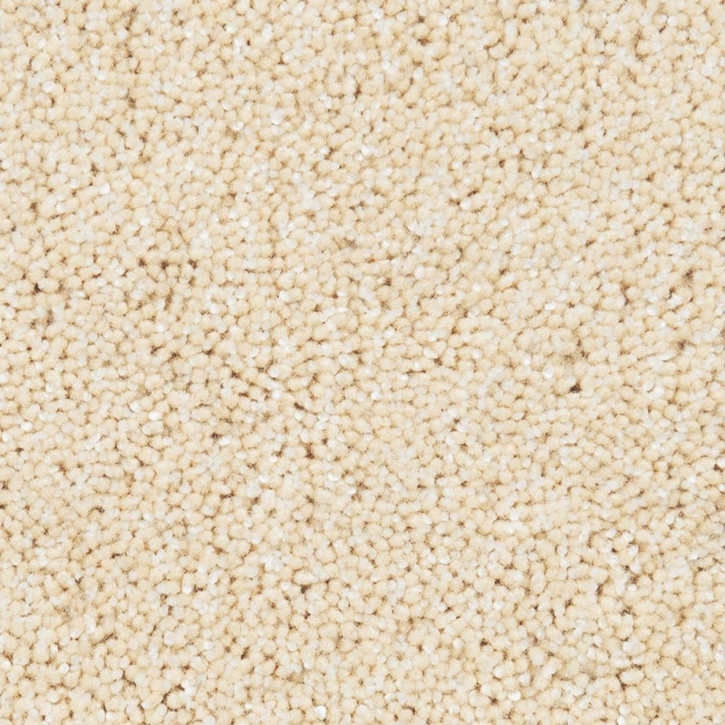 ダラゴ　アイボリー