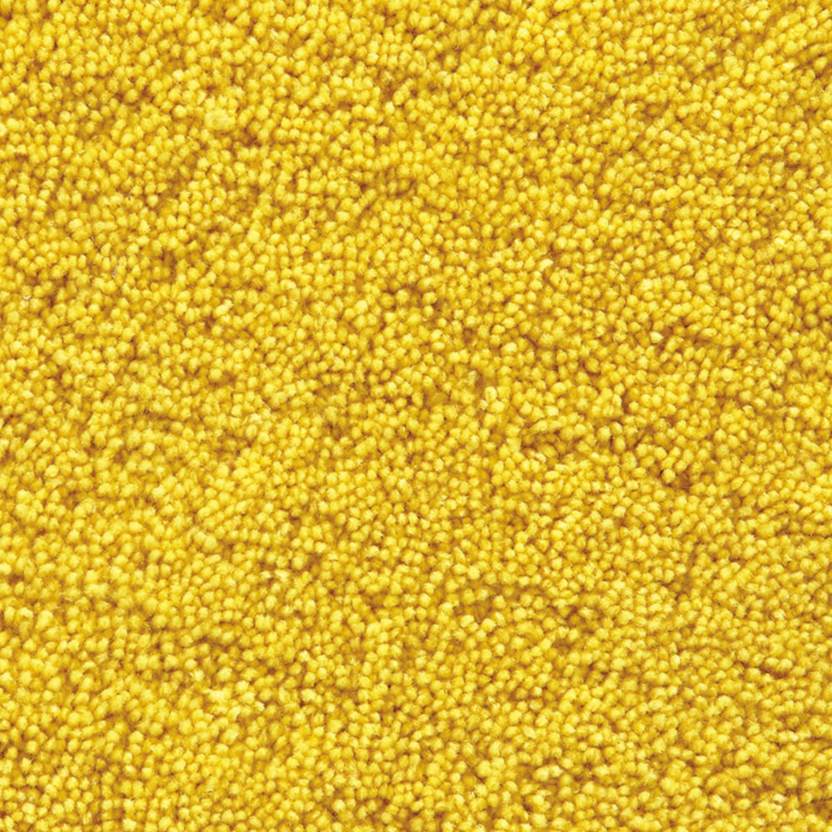 パスカル　イエロー