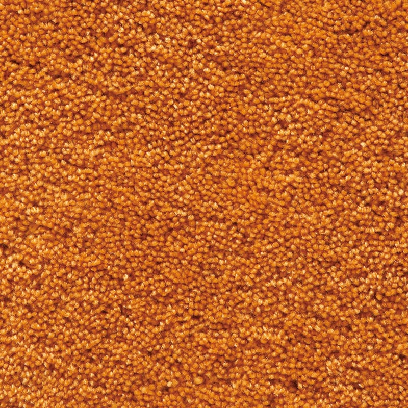 パスカル　オレンジ