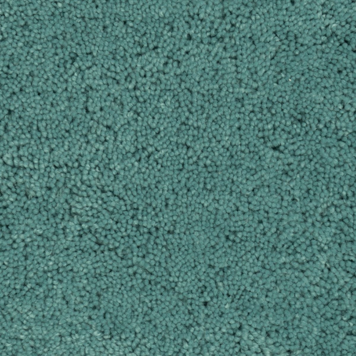 パスカル　ライトブルー