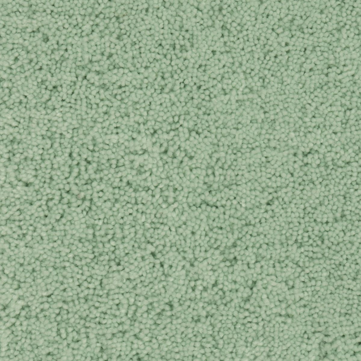 パスカル　ミントグリーン