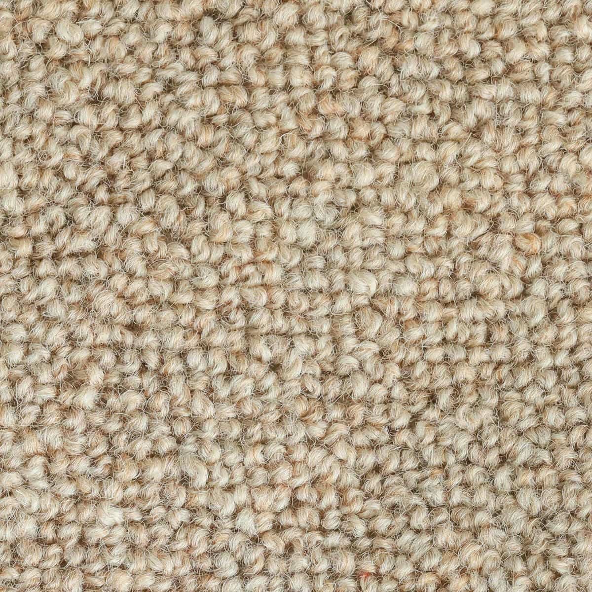 テアトル ブラウン2