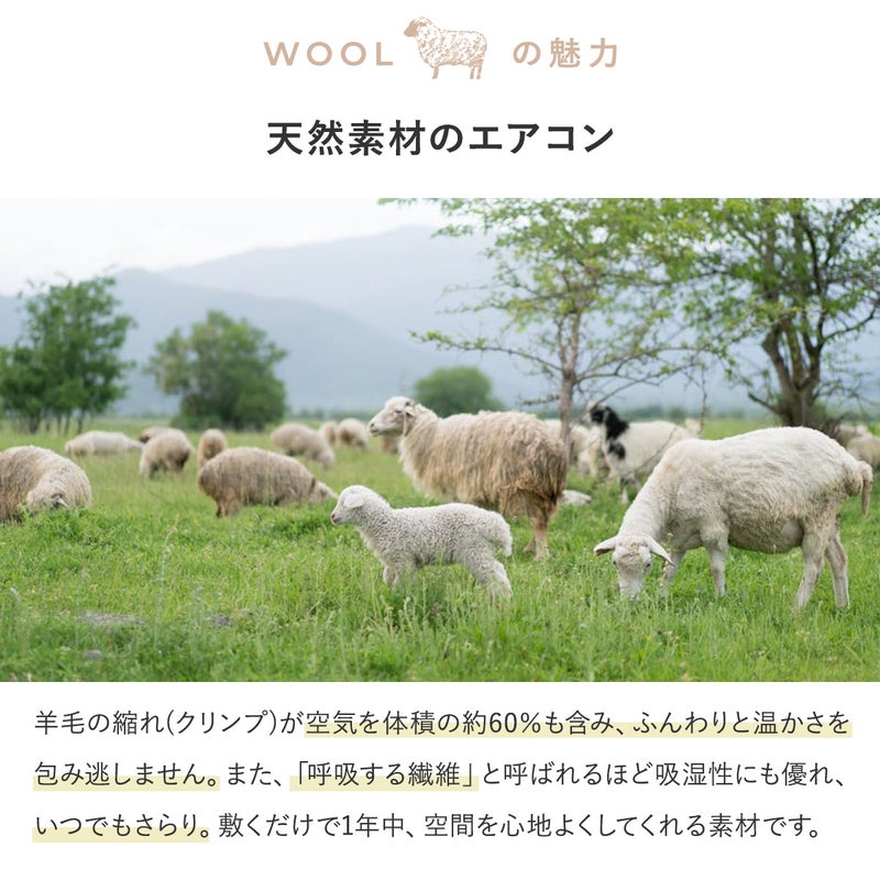 ウール説明