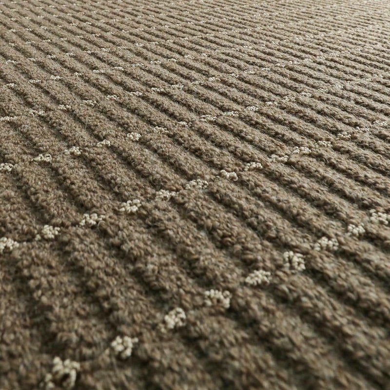 キアロ ブラウン2