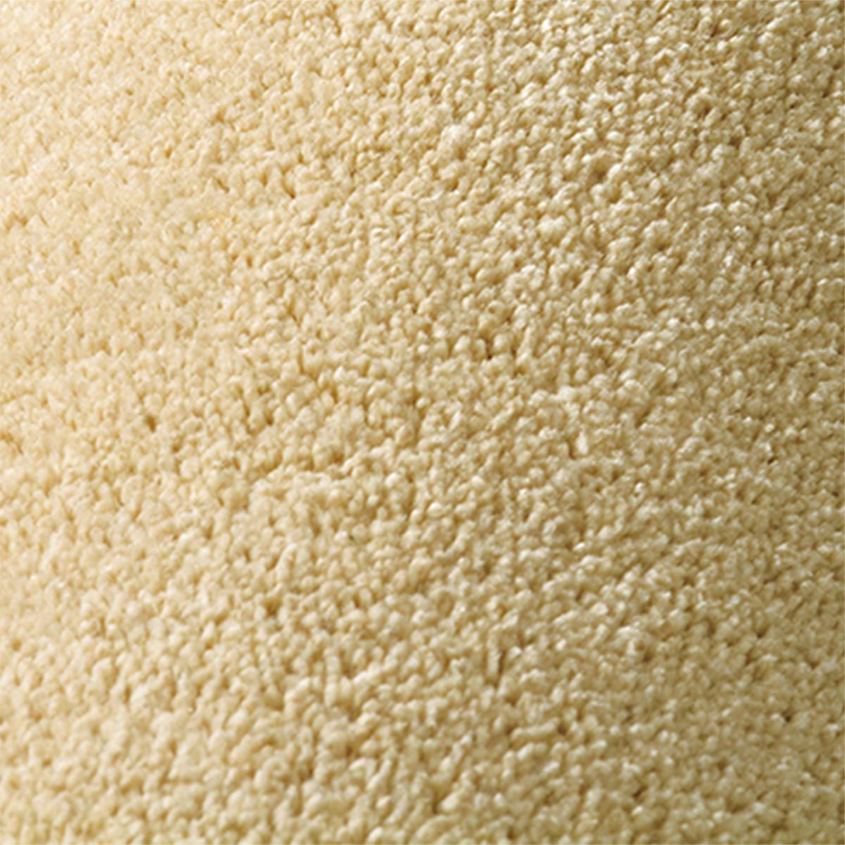 ニュープレジデント ベージュ2