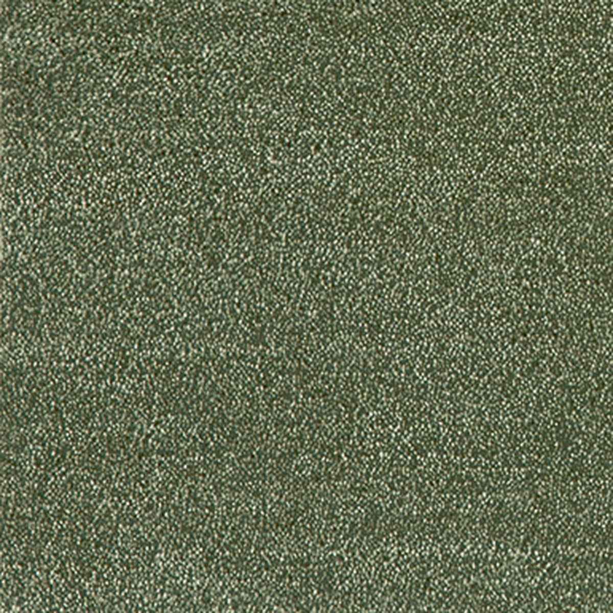 エグゼ ダークグリーン2