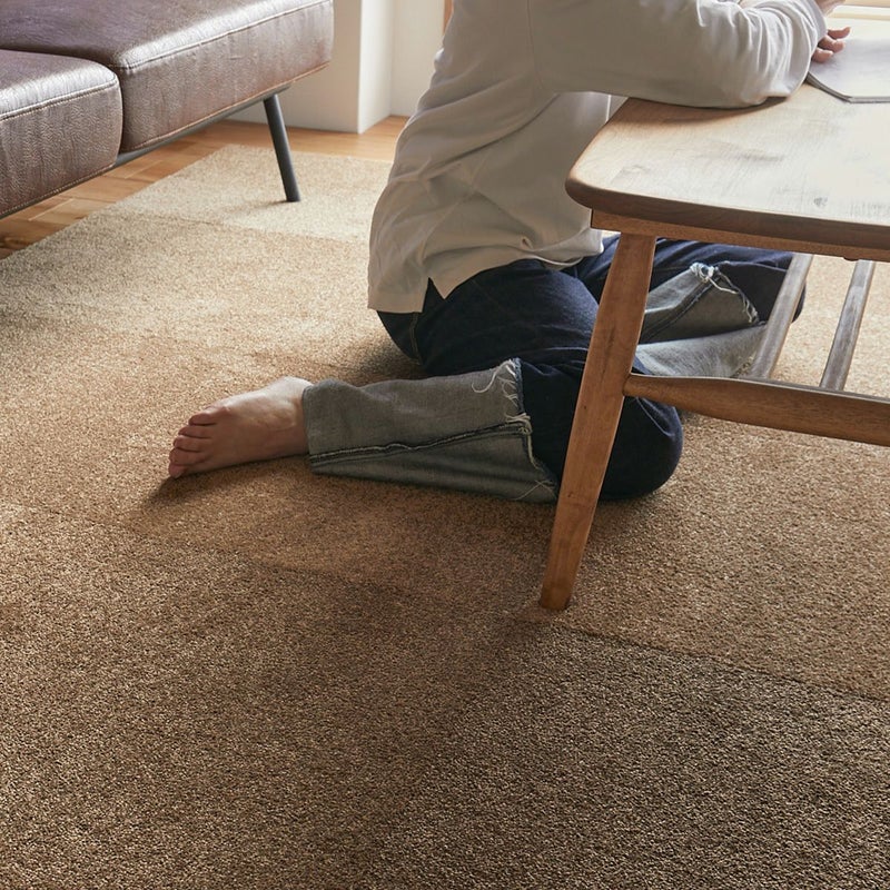 プルーフ　商品画像10