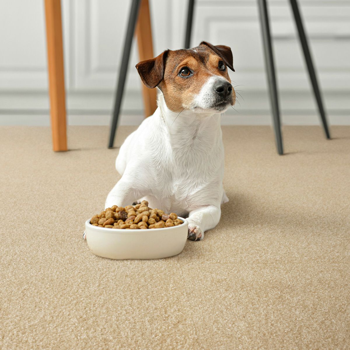 プルーフ　商品画像25